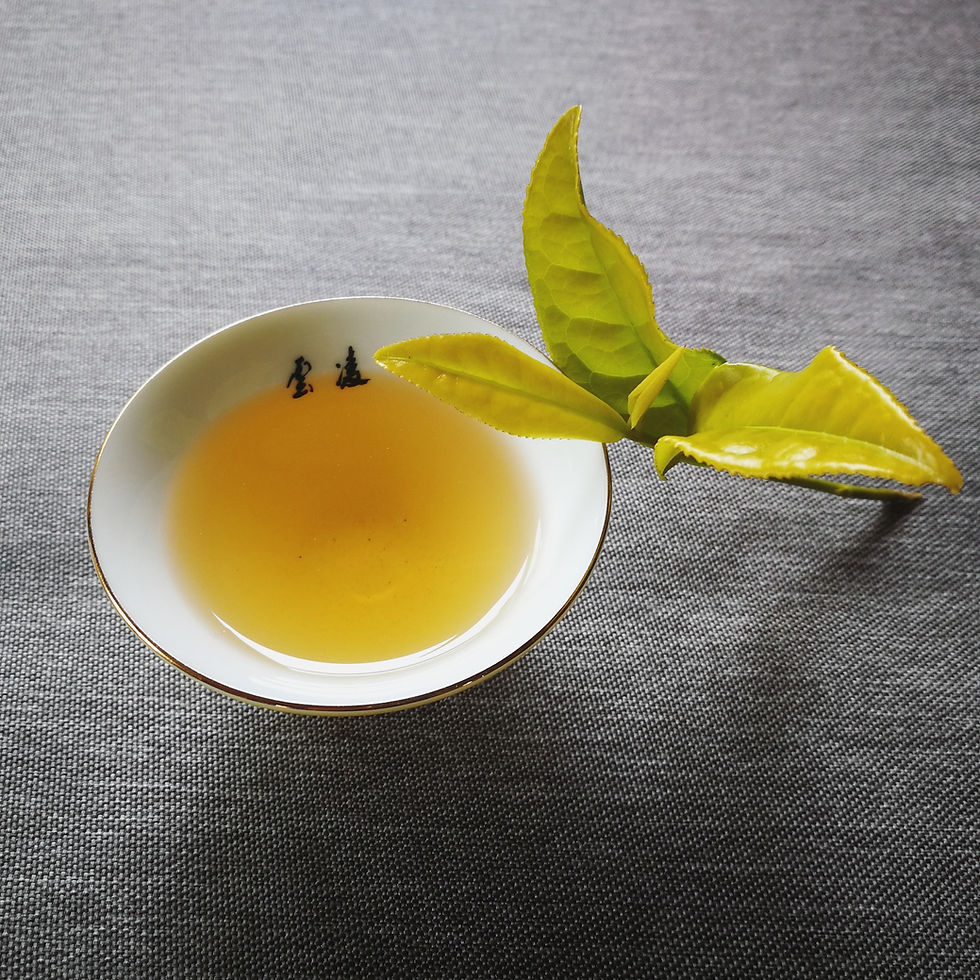 Valley Brook Tea | Blog