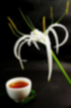 Valley Brook Tea | Blog