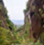 Valley Brook Tea | Blog