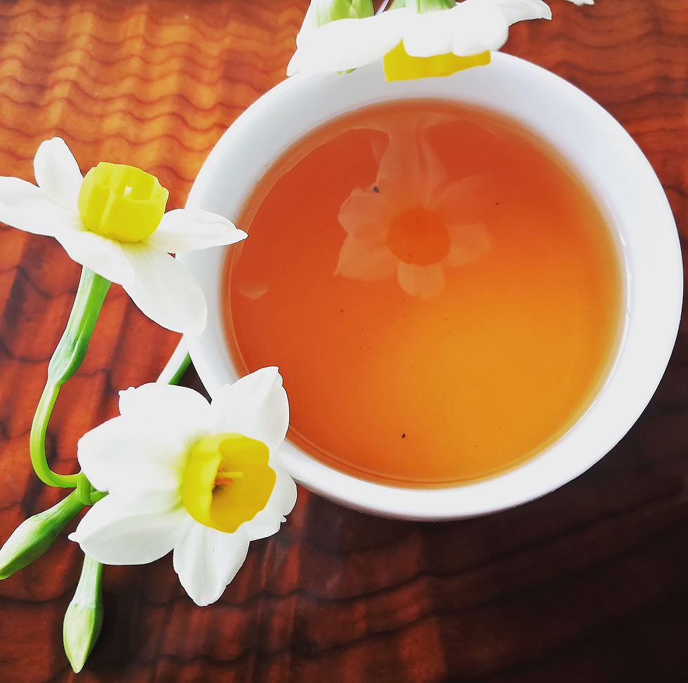 Valley Brook Tea | Blog