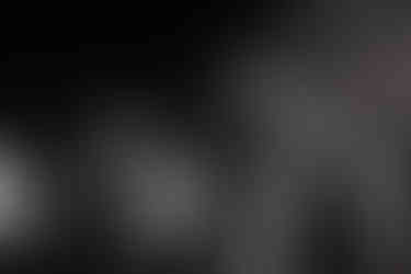 MILDLIFE LIVE IN BRISBANE