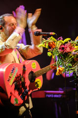 Ben Lee Live in Brisbane