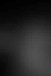 MILDLIFE LIVE IN BRISBANE