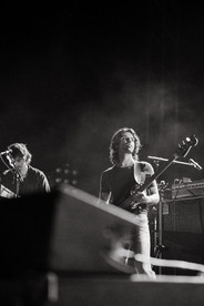 MILDLIFE LIVE IN BRISBANE