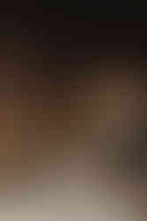 PARCELS LIVE IN BRISBANE