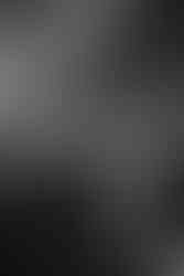 AC/DC live in Brisbane at Suncorp Stadium