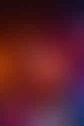 MILDLIFE LIVE IN BRISBANE