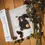 Thumbnail: Ella Haber - Moments Between Dreams (Limited Edition Clear Vinyl)