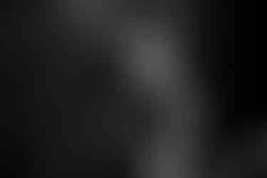 MILDLIFE LIVE IN BRISBANE