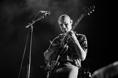 MILDLIFE LIVE IN BRISBANE