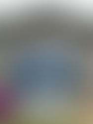 Duke Box Welcome to the real world