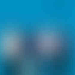 Forever Five choices from Polish Club