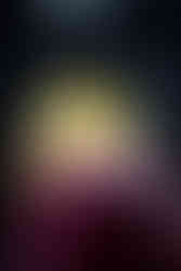 AC/DC live in Brisbane at Suncorp Stadium