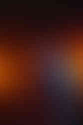 MILDLIFE LIVE IN BRISBANE