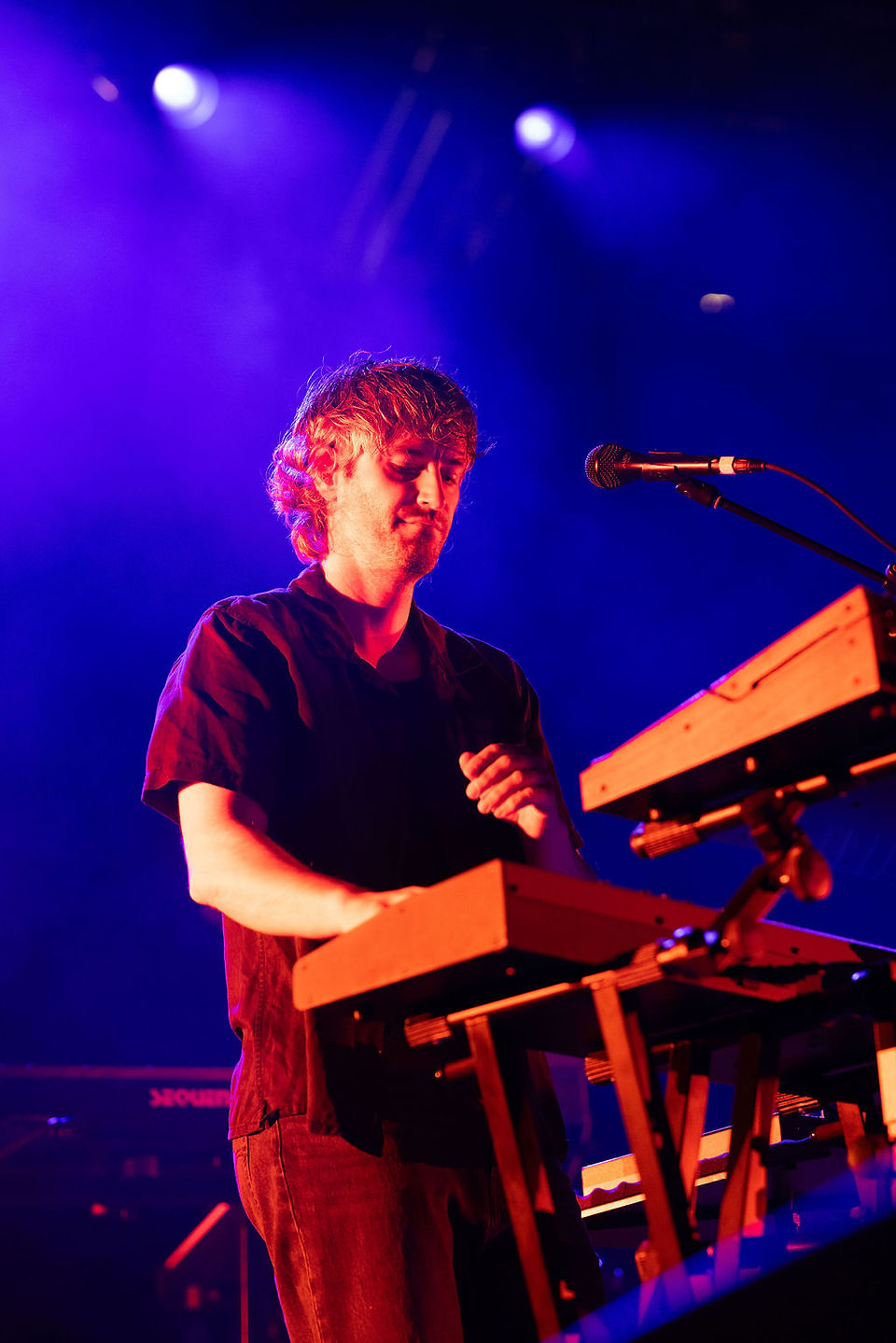 MILDLIFE LIVE IN BRISBANE