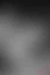 PARCELS LIVE IN BRISBANE