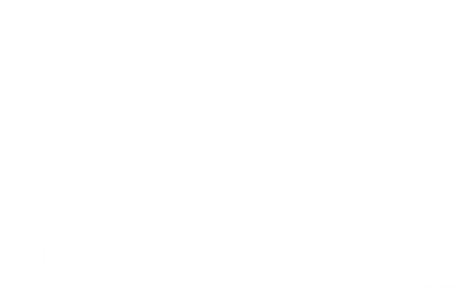 The Line Guys White_edited.png