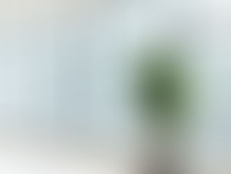 Window Frosting — The Smartest Upgrade for Northern Beaches Offices and Shops