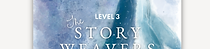 Level 3