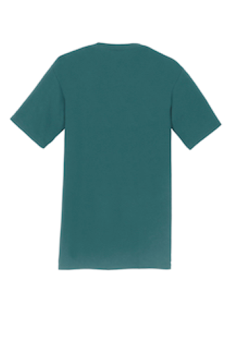 Thumbnail: Adult University Style T-Shirts