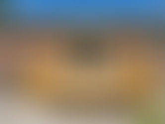 Illuminating Your Outdoor Oasis: The Best Types of Outdoor Lights for Your Deck