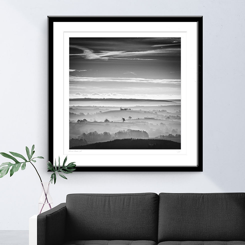 Thumbnail: A framed photograph of A lone tree on a hill among misty valleys in Dorset in Black and White