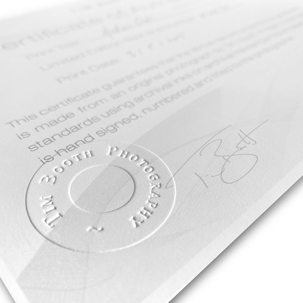 Thumbnail: Bob Tyrell - Clockmaker