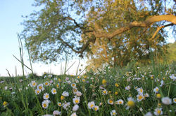 11201911_658099831000971_2158471421945278777_n