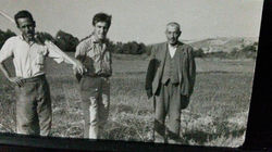 1779352_10204824634873943_7298889383826451673_n