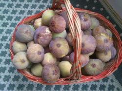 382302_428348220584275_1631439152_n