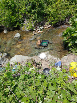 347440538_10227760286146151_6877037167799633896_n