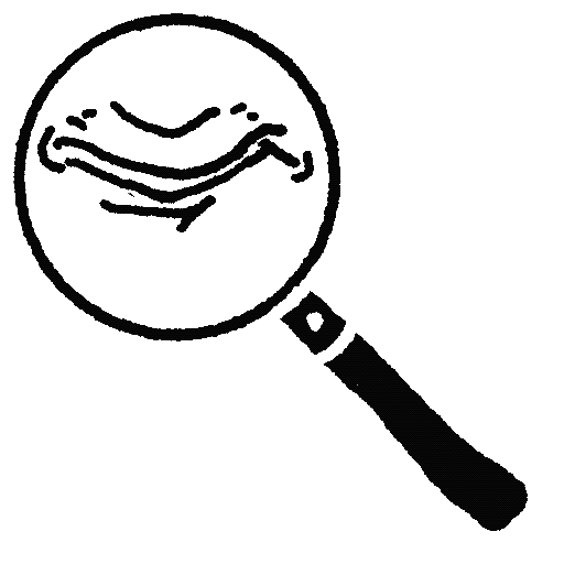 IMG_2444.GIF