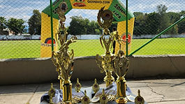 Torneos Elite 2008, Liga 2011, 2009 y 2008