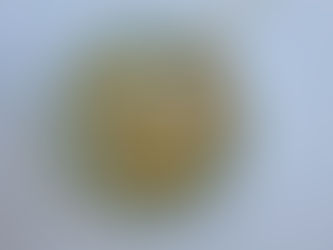 כריך ריקוטה ותאנים מקורמלות