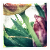 IMG_1049.JPEG