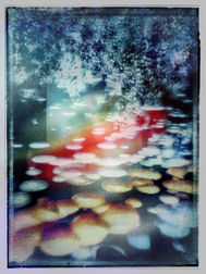 IMG_0522.jpeg