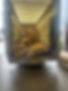 IMG_0552.jpeg