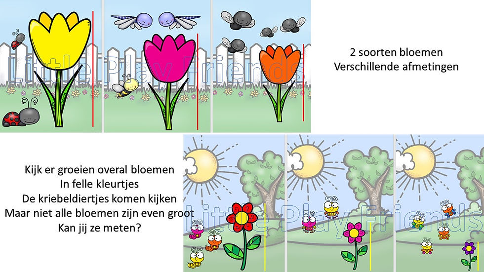 Thumbnail: Bloemen meten met duploblokken