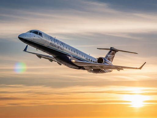 "Would it be ridiculous to think beauty could save aviation?"