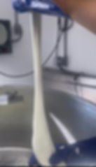 Thumbnail: Fresh Mozzarella!