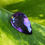 Thumbnail: Amethyst 7.1Ct Pear