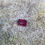 Thumbnail: Almandine Garnet 1.54Ct
