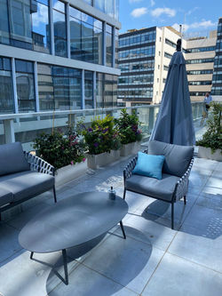 גינת גג - לוטם צמחיה