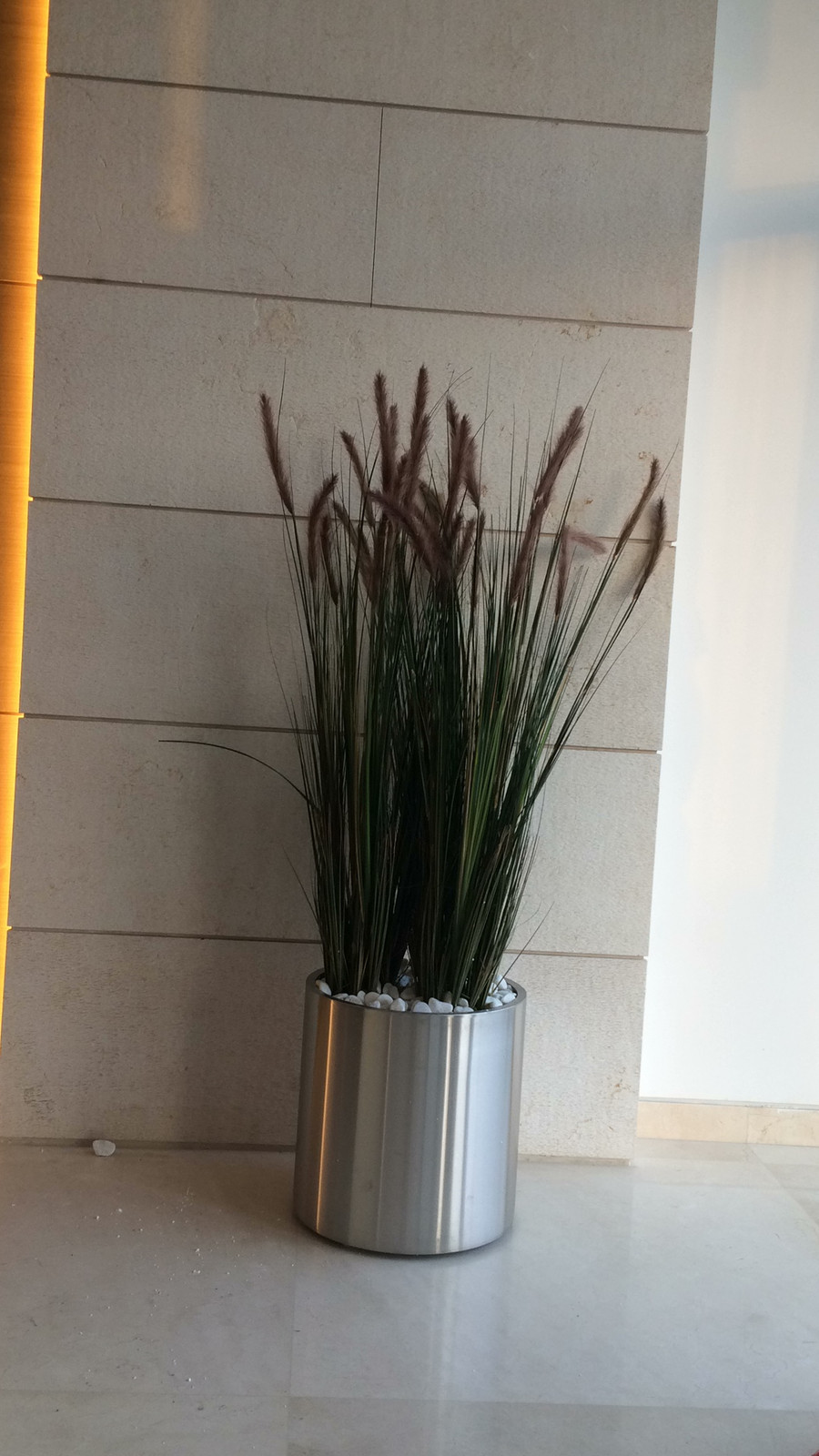 צמח מלאכותי - זיף נוצה