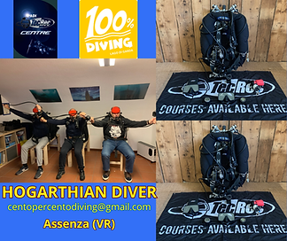 HOGARTHIAN DIVER.png