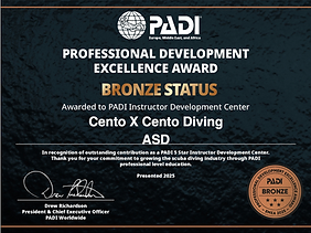 Bronze_2025_100X100 copia.png