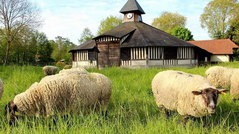 Programme 2023 du Conservatoire des Meules et Pavés d'Epernon