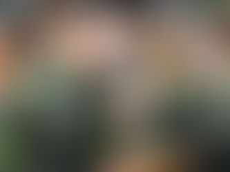 ผู้จัดการชั่วคราวพาเซลติกขยับชิดจ่าฝูง หลังยิงสองลูกใน 33 วินาทีดับฮิเบอร์เนียน