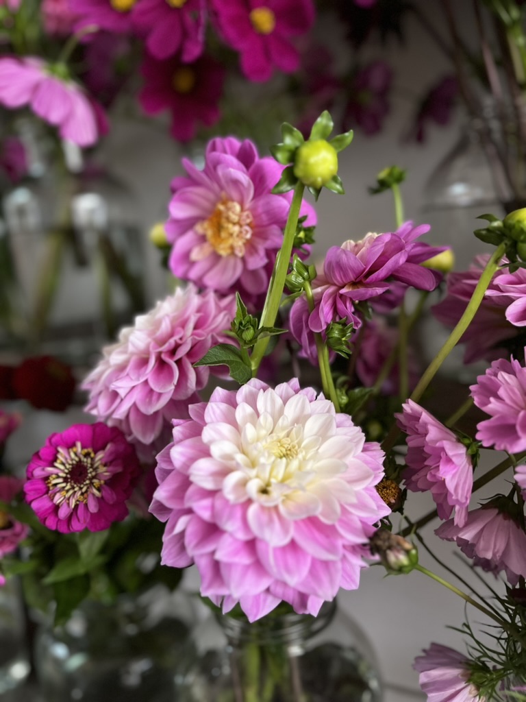 Meadowlark Florals Instagram photo