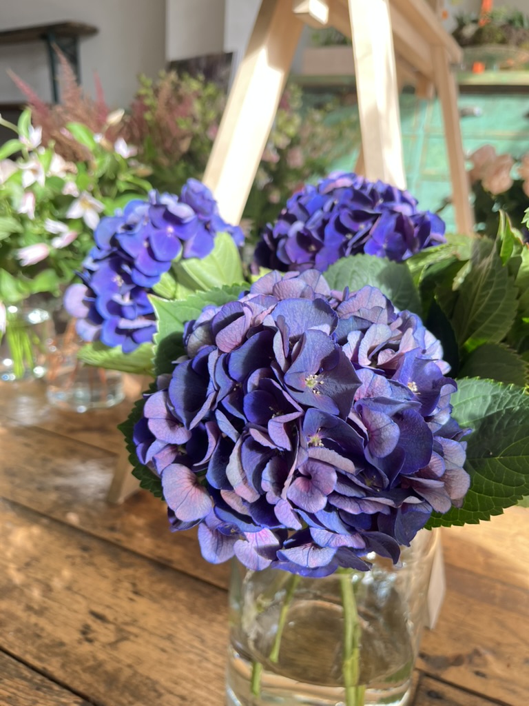 Meadowlark Florals Instagram photo
